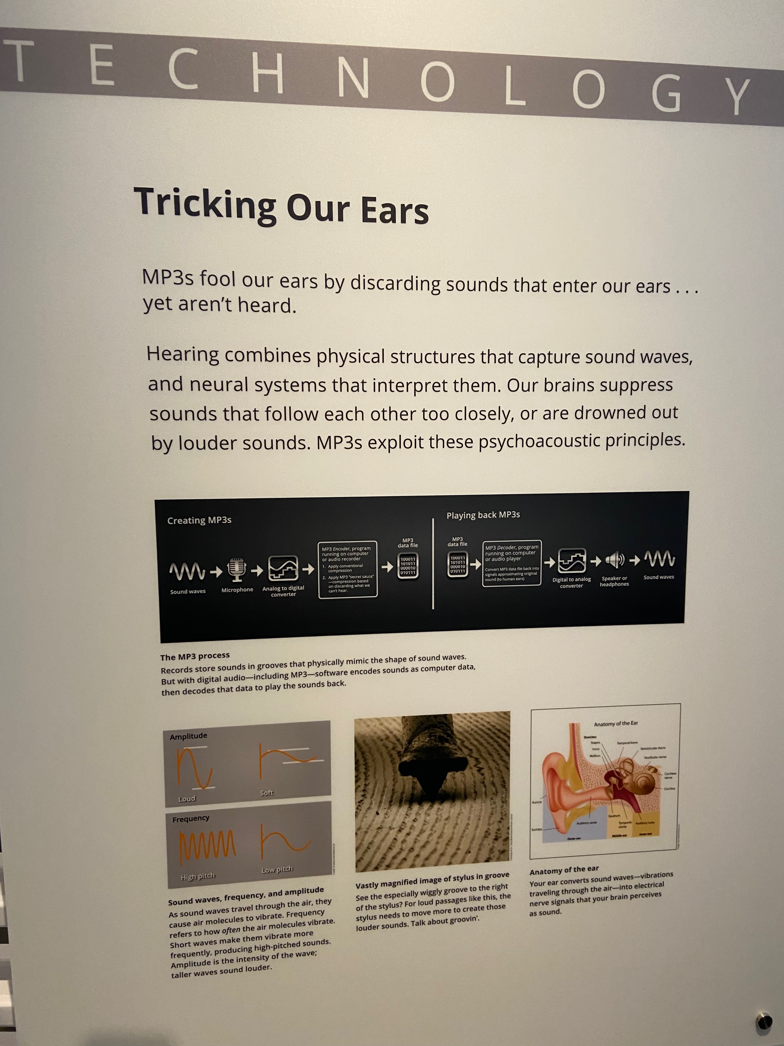 MP3